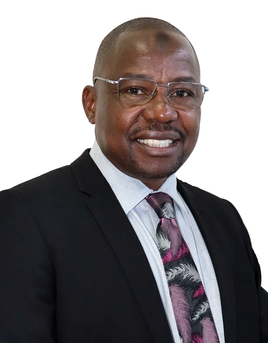 Prof. Dr. Halimu Shauri