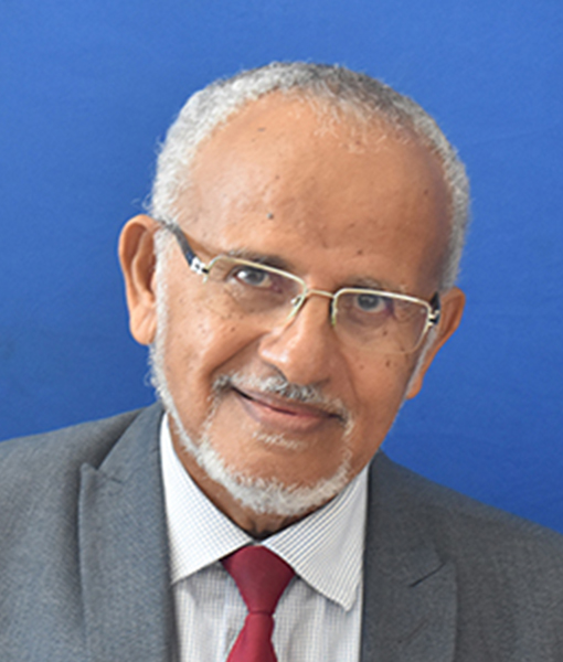 Prof. Mohamed Salim Badamana, PhD 